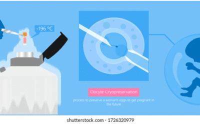 What is the Egg Freezing Procedure?